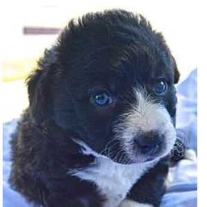 Meet your Posher, Kaela